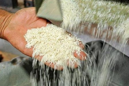 نگرانی از فراموشی مشکلات تامین برنج در هیاهوی انتخاباتی/ تنها تا ۳ ماه دیگر ذخایر برنج خارجی داریم