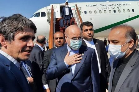 رئیس مجلس در راس هیات پارلمانی وارد سوریه شد