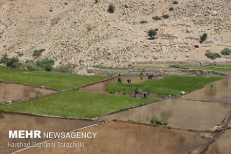 خوزستان حاصلخیز چگونه به استانی خشک تبدیل شد؟