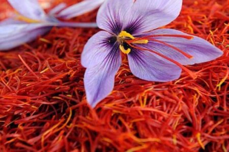 نتایج یک مطالعه جدیدخواص زعفران برای کمک به تسکین علائم افسردگی